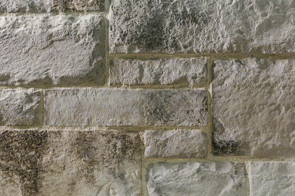 Pierre de parement Acropoli coloris G85 - SN Works